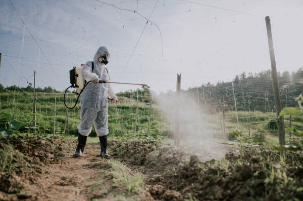 Best Best Pest Control Companies  in Nutter Fort, WV