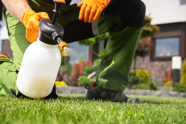 Best Residential Pest Control  in Nutter Fort, WV