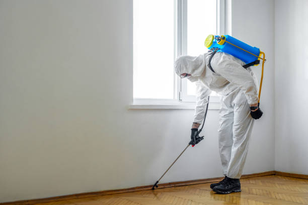 Best Pest Prevention Services  in Nutter Fort, WV